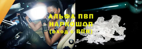 гашик Абаза