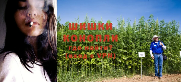 шишки Абдулино