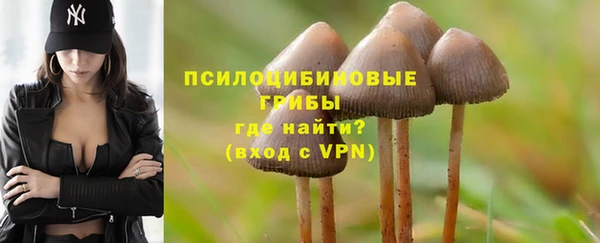 шишки Абдулино