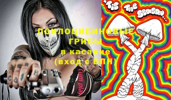 гашик Абаза