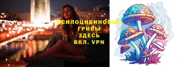 шишки Абдулино