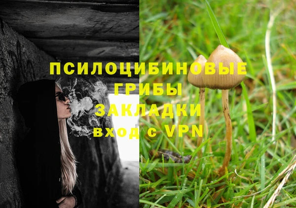 шишки Абдулино